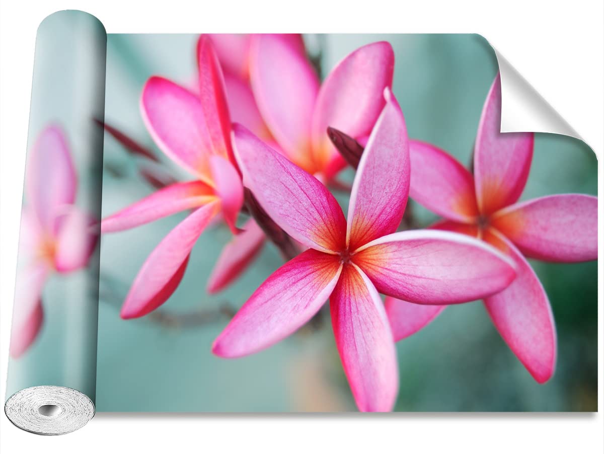 Papier peint moderne Tulup pour masquer les imperfections murales avec Plumeria rose