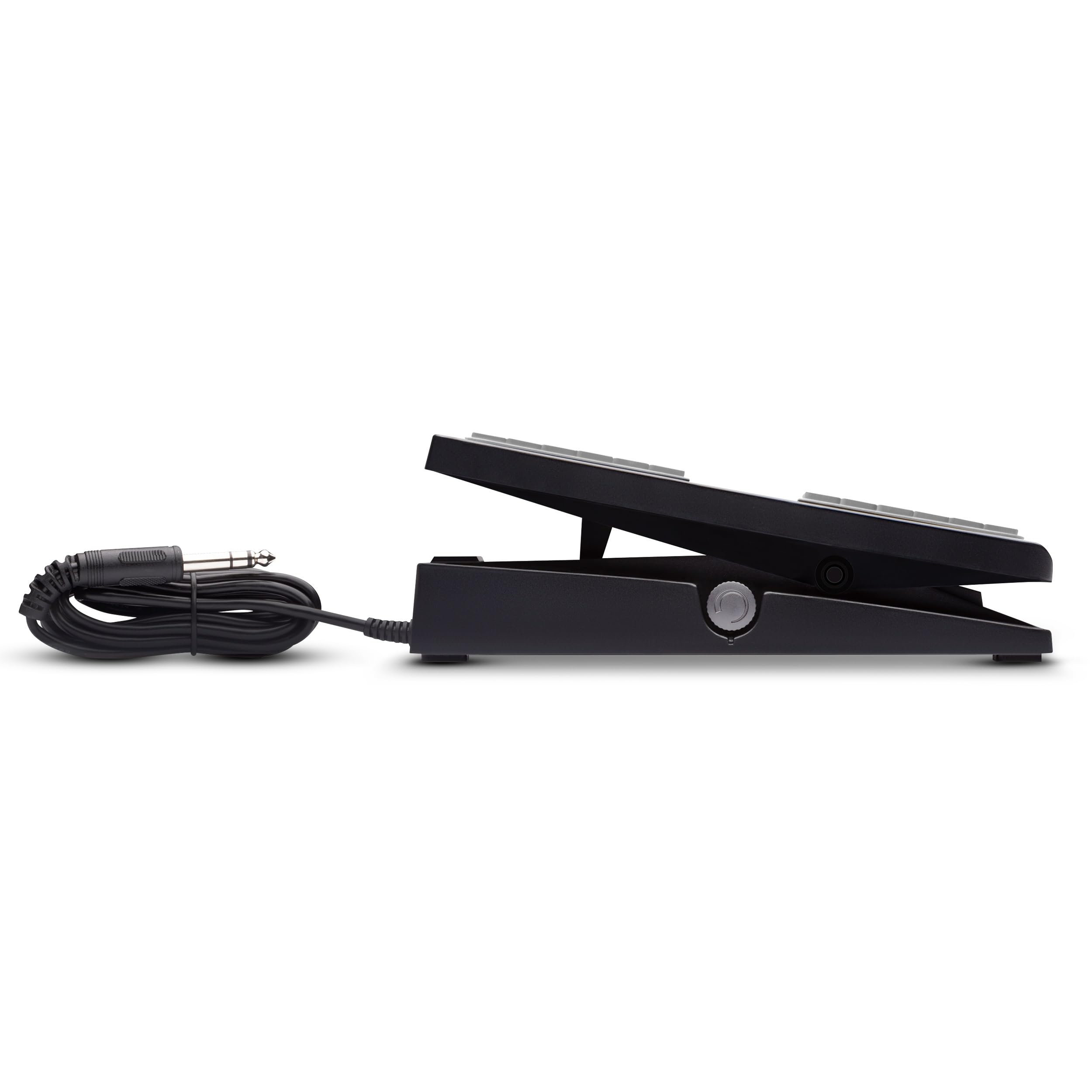 M-AUDIO EX-P - Pédale d’Expression Universelle pour Claviers, Claviers/Contrôleurs MIDI et Pédales d’Effets de Guitare Compatibles avec Commutateur de Polarité Intégré