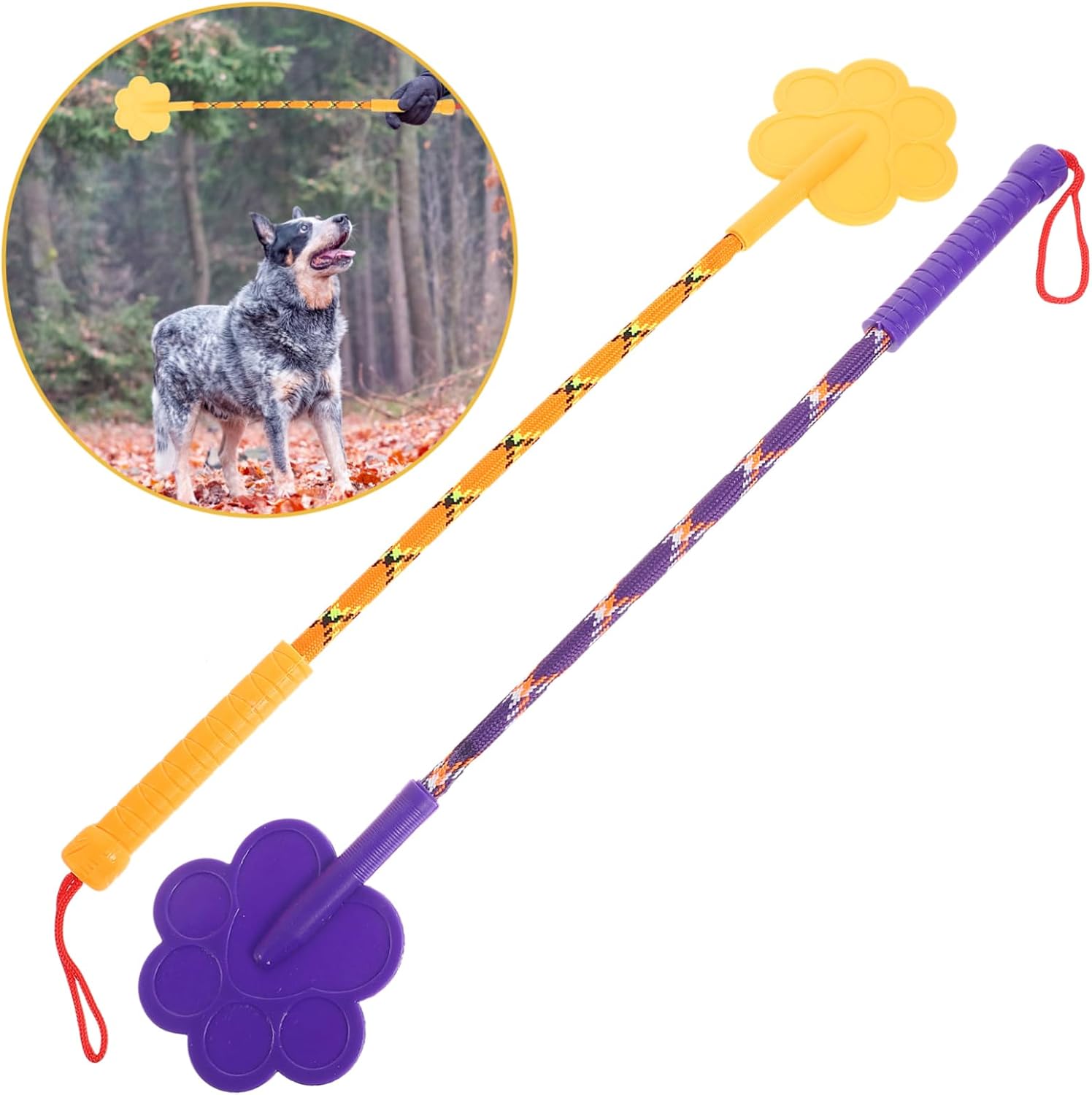 Pet Training Equipment Dog Training Paw Clicker Non-Harmful Dog Training Tool for Sizes Dogs