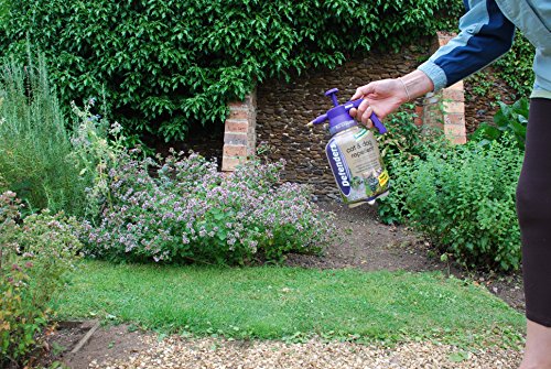 The Big Cheese Cat & Dog Scatter Spray STV624, Garden Cat Repeller, Pump Action Pressure Sprayer, 1.5 Litre, Blue - Image 9