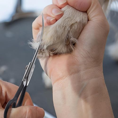 Miniatura 7 de Dream Reach Tijeras de aseo para perros curvadas hacia abajo de 6 pulgadas para recortar la cara y las patas, tijeras de corte de seguridad para