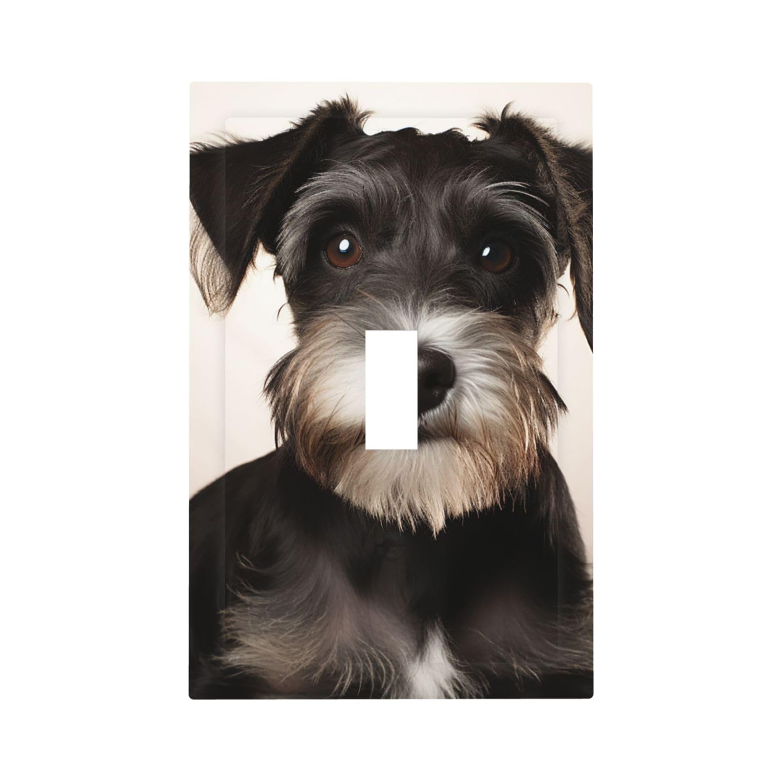 1-Gang Decorator Wall Plate Cute schnauzer Light Switch Cover Single Gang Receptacle Outlet Wall Plate Mid Size 5" x 3" Wallplate Unbreakable Polycarbonate Outlet Faceplates Covers