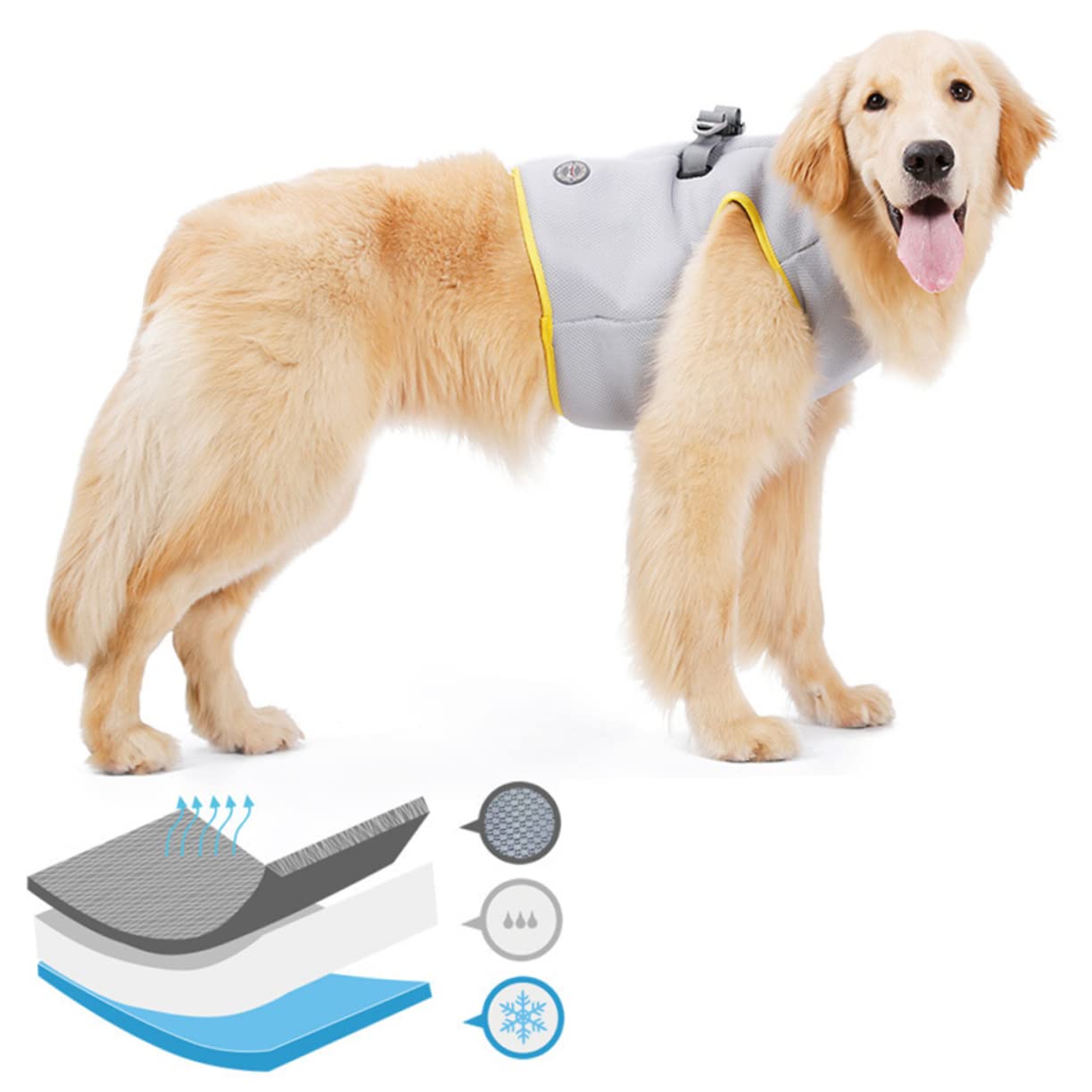SUPVOX 3pezzi Gilet Refrigerante Per Cani Giacca Traspirante Per Animali Con Design Fresco Perfetta Per Attività All Aria Aperta Taglia s