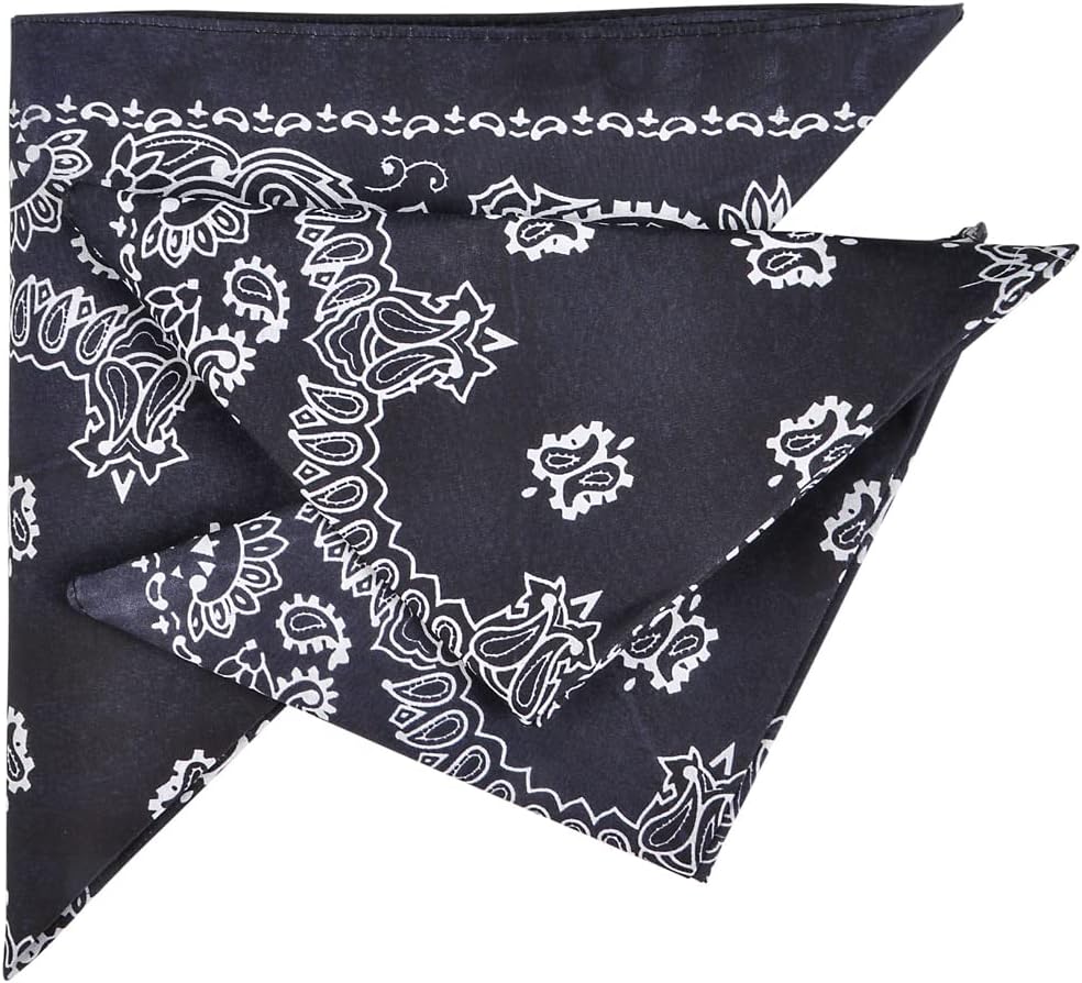 Rhode Island Novelty Blue Western Bandanas, 12 Pieces per order
