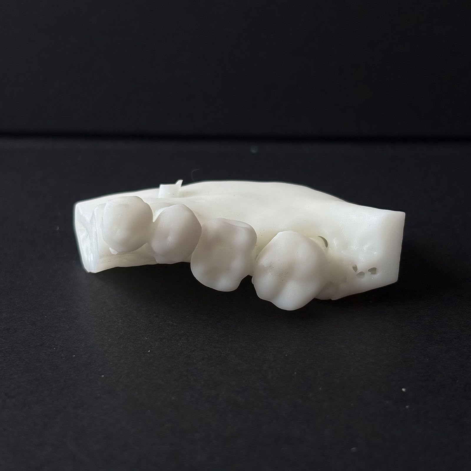 Modello di Pratica per impianto Dentale - Modello di impianto in Osso alveolare simulato - per Studenti di odontoiatria e Strumento di Formazione