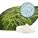 99% Spongilla Spicule Freshwater Hydrolyzed Sponge Skin Conditioning White