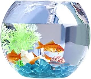 ガラス水槽