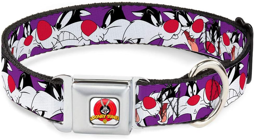 Dog Collar Seatbelt Buckle Sylvester The Cat Expressions Purple 15 to 26 Inches 1.0 Inch Wide
