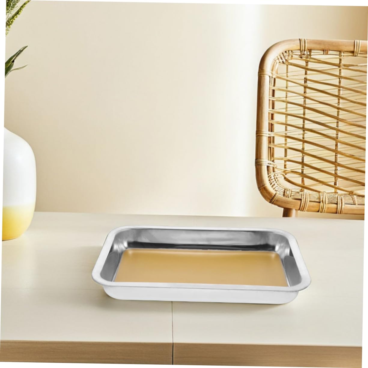 ABOOFAN 2 pezzi Vassoio da Dissezione Inox Strumento Professionale per Esperimenti Biologici per Scuole e Istituti Ricerca Facile da e Resistente Schizzi