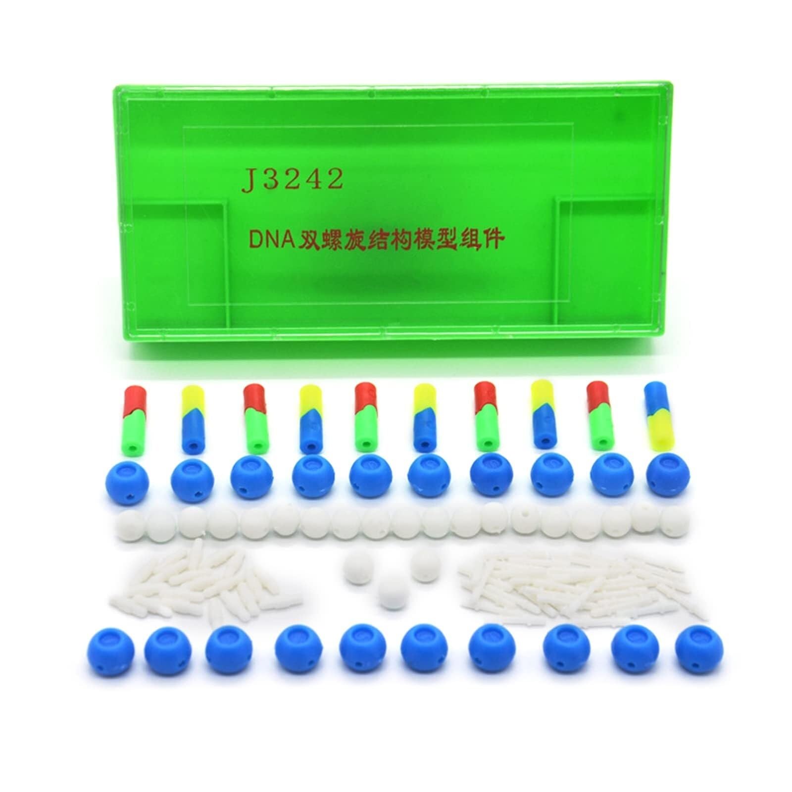 DNA-Modelle, Doppelhelix-Modellkomponenten, medizinisches Lehrmittel, naturwissenschaftliches Lehrinstrument, Modell für die Schule, DNA-Doppelhelix-Strukturmodelle, DNA-Modelle, B