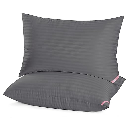 EIUE Queen Size Bed Pillows - 2 Pack