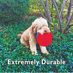 Funsparks Easy Disk – Soft Catch Flying Disc – Easy to Learn and Play Disc Toss for Indoors or Outdoor Games for Kids, Beginners or Advanced Ultimate Flying Disc Game