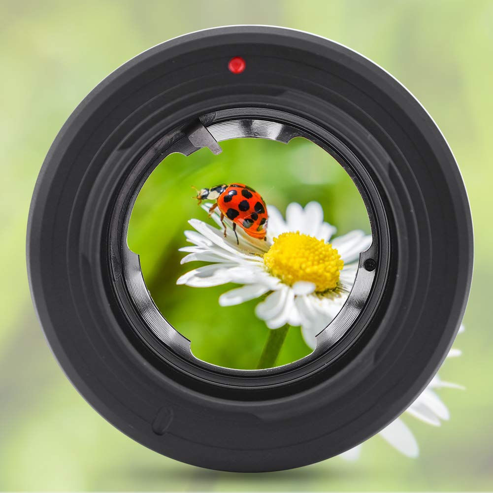 KIMISS DKL NEX-Mount-Objektivadapter – Kompatibel mit DKL-Mount-Kameraobjektiven für Kameras der NEX-Serie – Präzises Design aus Aluminiumlegierung