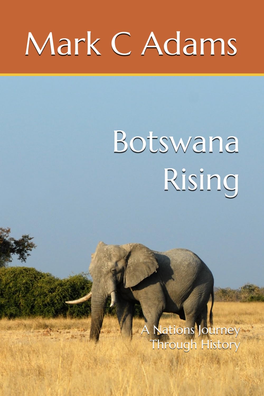 Botswana Rising: A Nations Journey Through History