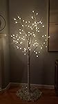 Review Image by JM JM