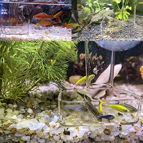 Image of Aquarium Shrimp Feeder Dish Glass Fish Tank Feeding Bowls, 1pcs Round Glass Food Bowl (60mm), 2pcs Square Fish Feeding Bowls with Suction Cups (60mm)