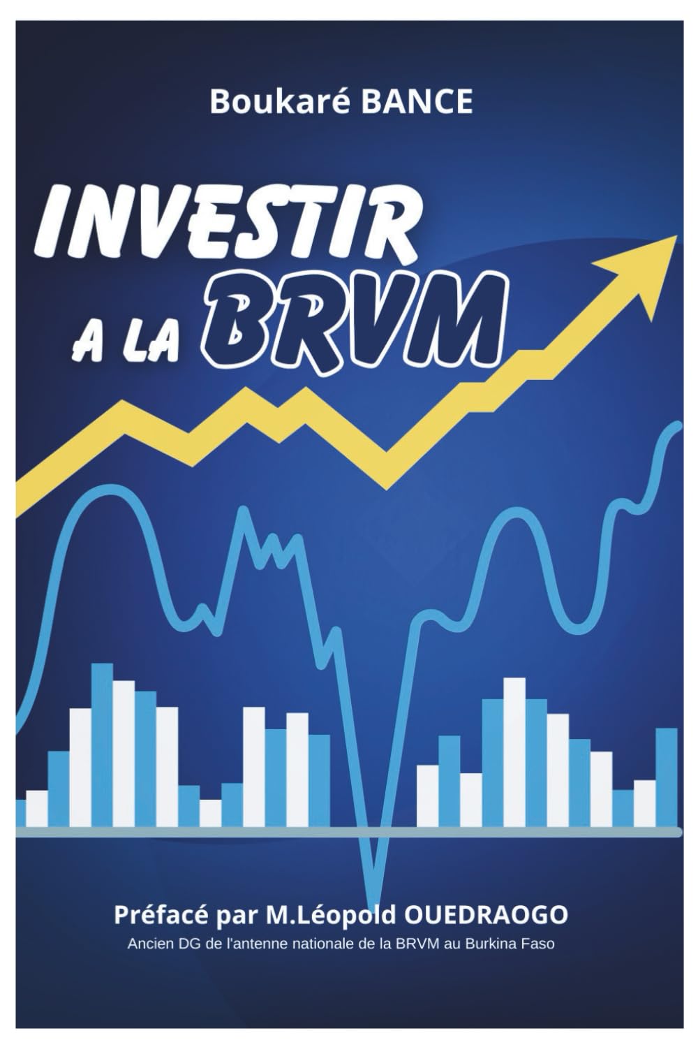 INVESTIR A LA BRVM: Investir dans la bourse la plus rentable au monde pour atteindre la liberté financière. (INVESTIR SUR LES BOURSES LES PLUS RENTABLES)