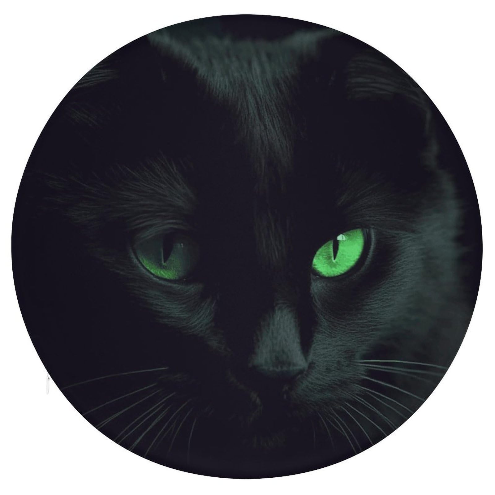 Wsoihfec Style Black Cat Green Eyes Seat Cushion Round Chair Pad