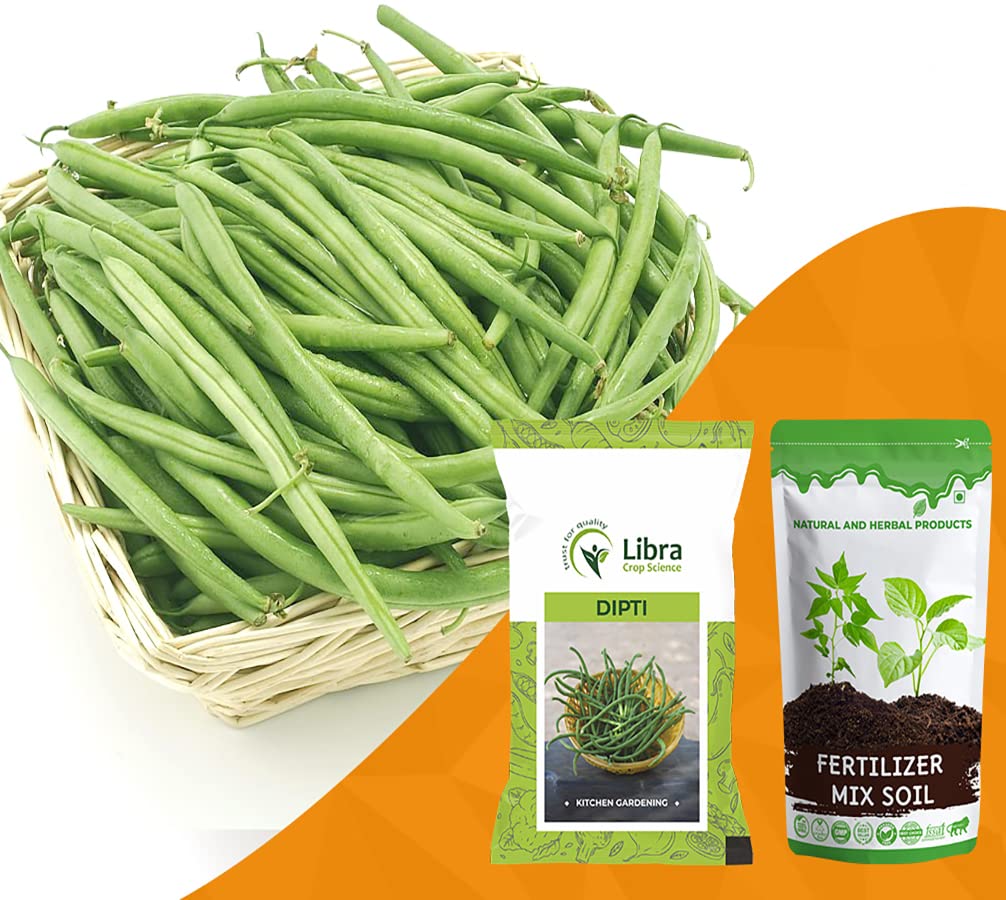 Cow Pea Seeds for Home Garden | Farming | Vegetable | Kitchen | Hybrid | Planting | Terrace | Balcony | Eating | Cowpea | Yardlong Bean | Snake Bean | Chauli | Lobia Beans - 30 Gram : 589 Seed (B0B34M4CWK) Amazon Price History, Amazon Price Tracker