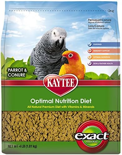 natural parrot food