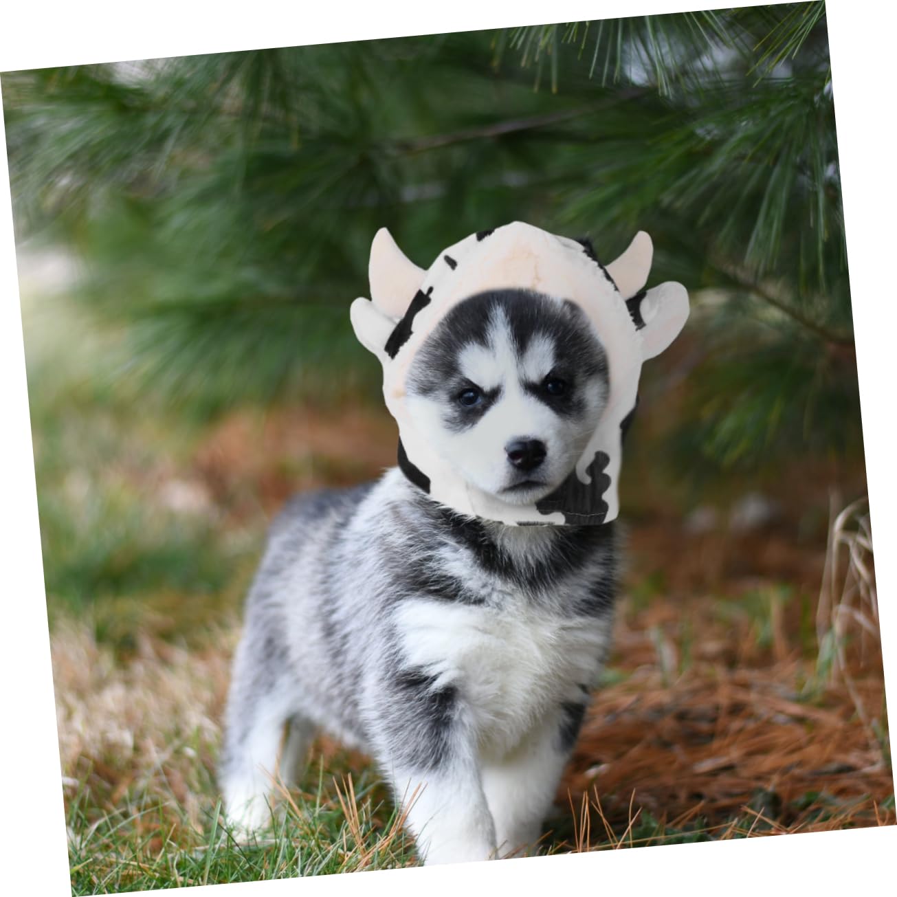 YARNOW Gorro De Peluche para Cosplay De Mascota Adorable Disfraz De Perro Forma De Vaca Suministros para Mascotas Adecuado para Fiestas De Disfraces