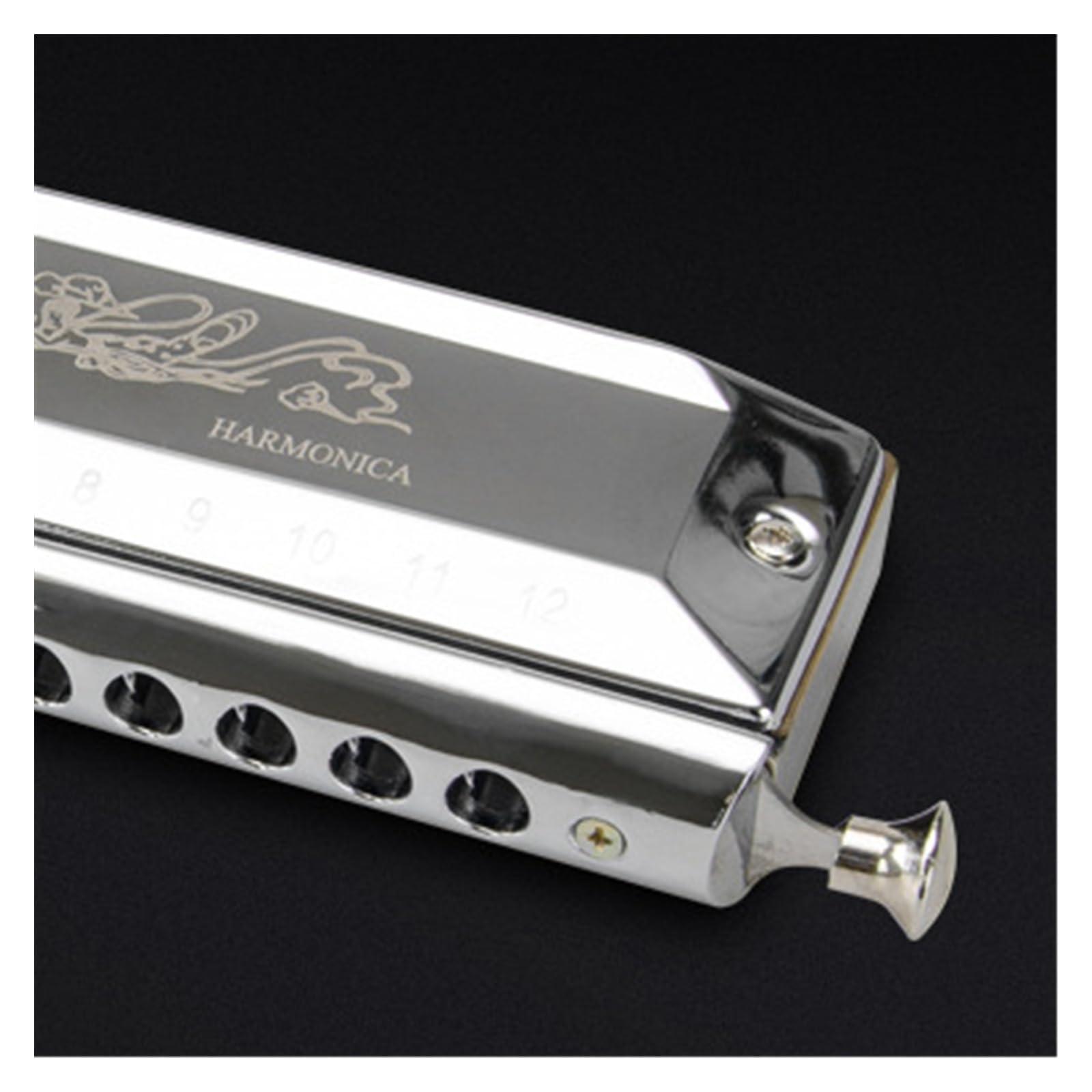 Harmonica Harmonica chromatique 12 trous instrument pour débutant clé C