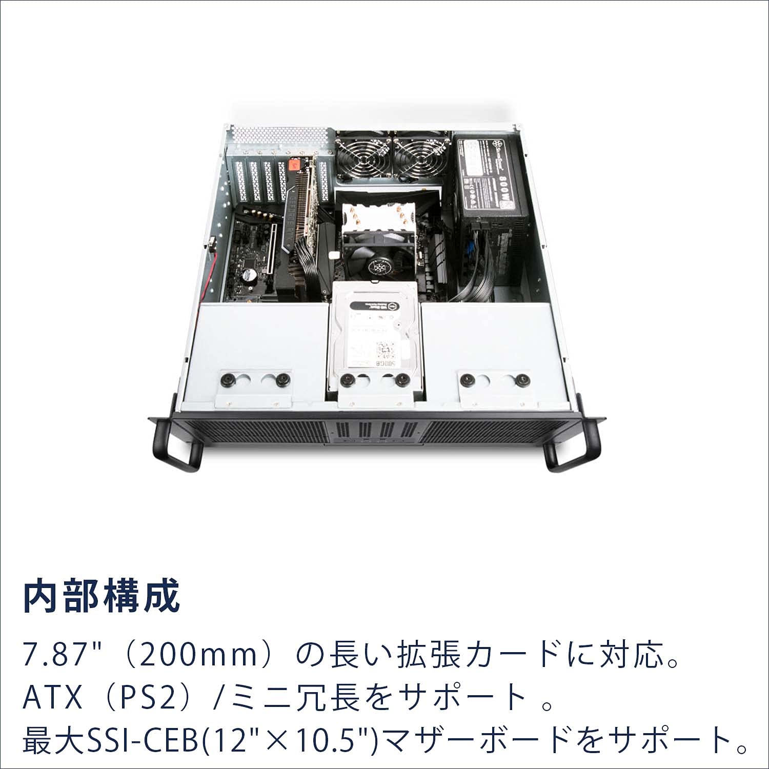 LECTROSONICS ラックケース シルバー LECTROSONICS ラックケース 人気 シルバー Amazon.co.jp: Silver Stone