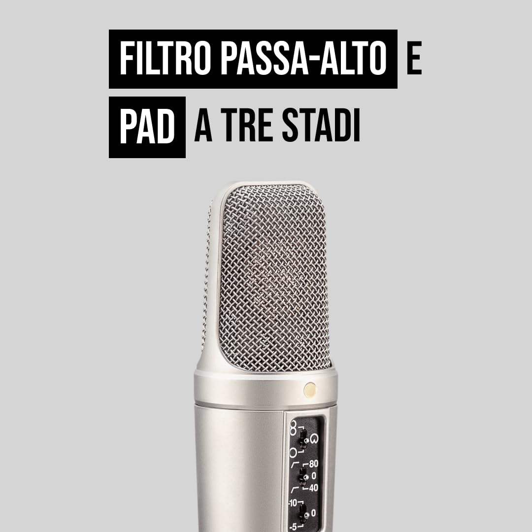RØDE NT2-A Microfono a Condensatore Versatile a Grande Diaframma con Modello Polare Commutabile, Pad e Filtro Passa-Alto per Registrazione Vocale e di Strumenti