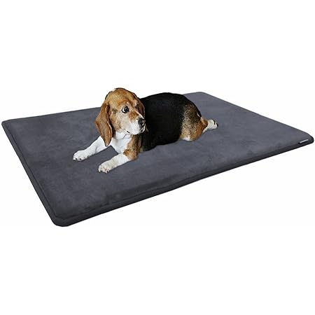 coleman cooling mat