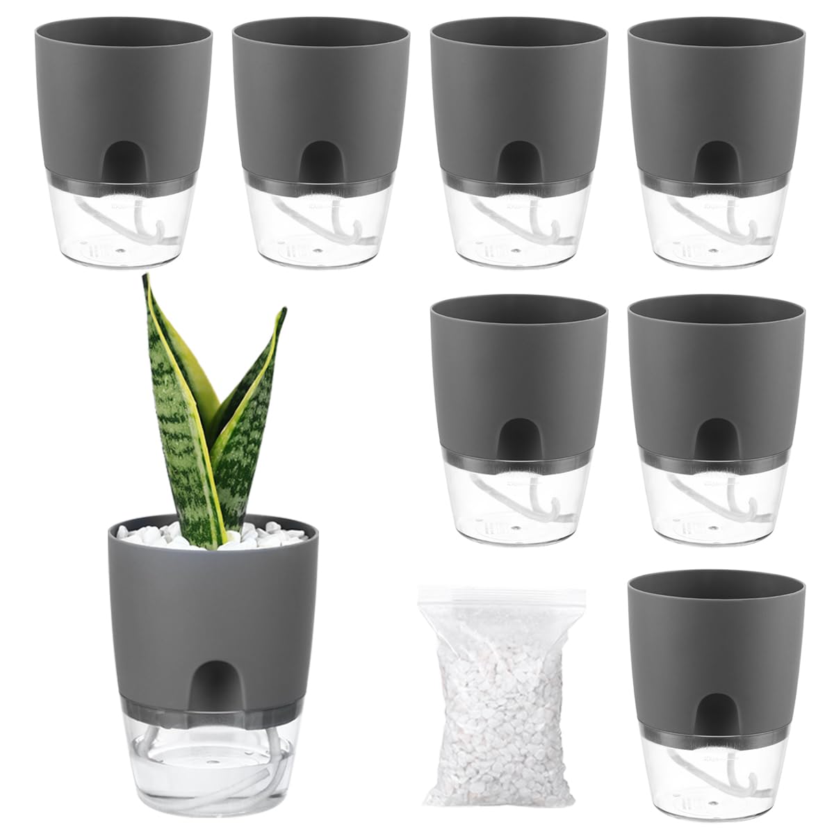 PlanterHoma 3.2 Inch 8-Pack
