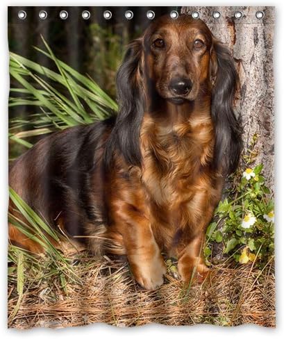 Amazon ダックスフント狩猟犬背景防水シャワーカーテン バスカーテン サイズ 60 X 72 シャワーカーテン ホーム キッチン オンライン通販