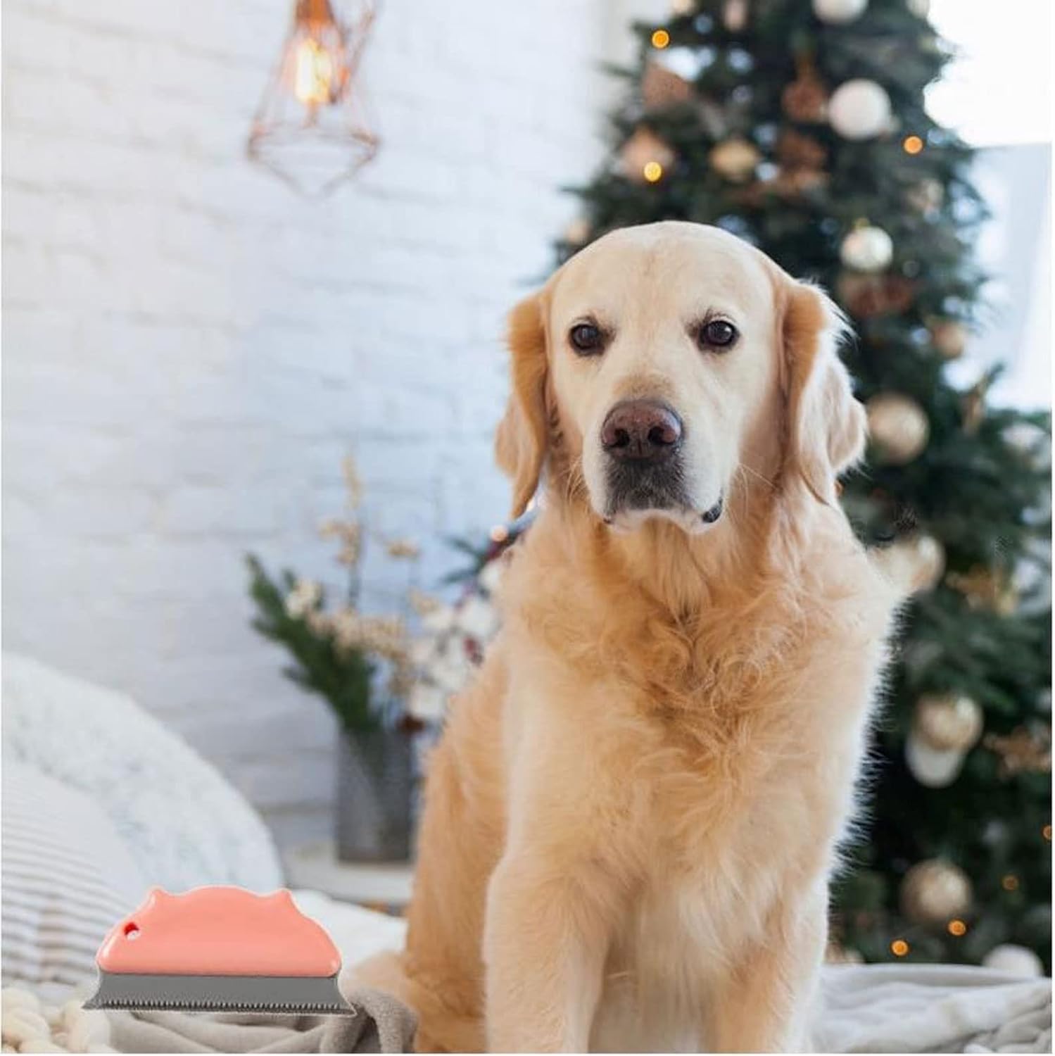 Dog Hair Removal Products Pet Hair Remover Dog Brush Clothes Sofa Cleaning Lint Roller Brushes Removal Tool Comb