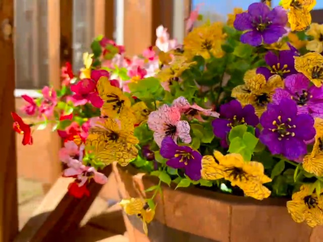 邦楽 DUMMY CHILDREN IDEAL FLOWER 61lgiJM3aGL._UF894,1000_QL80_.jpg