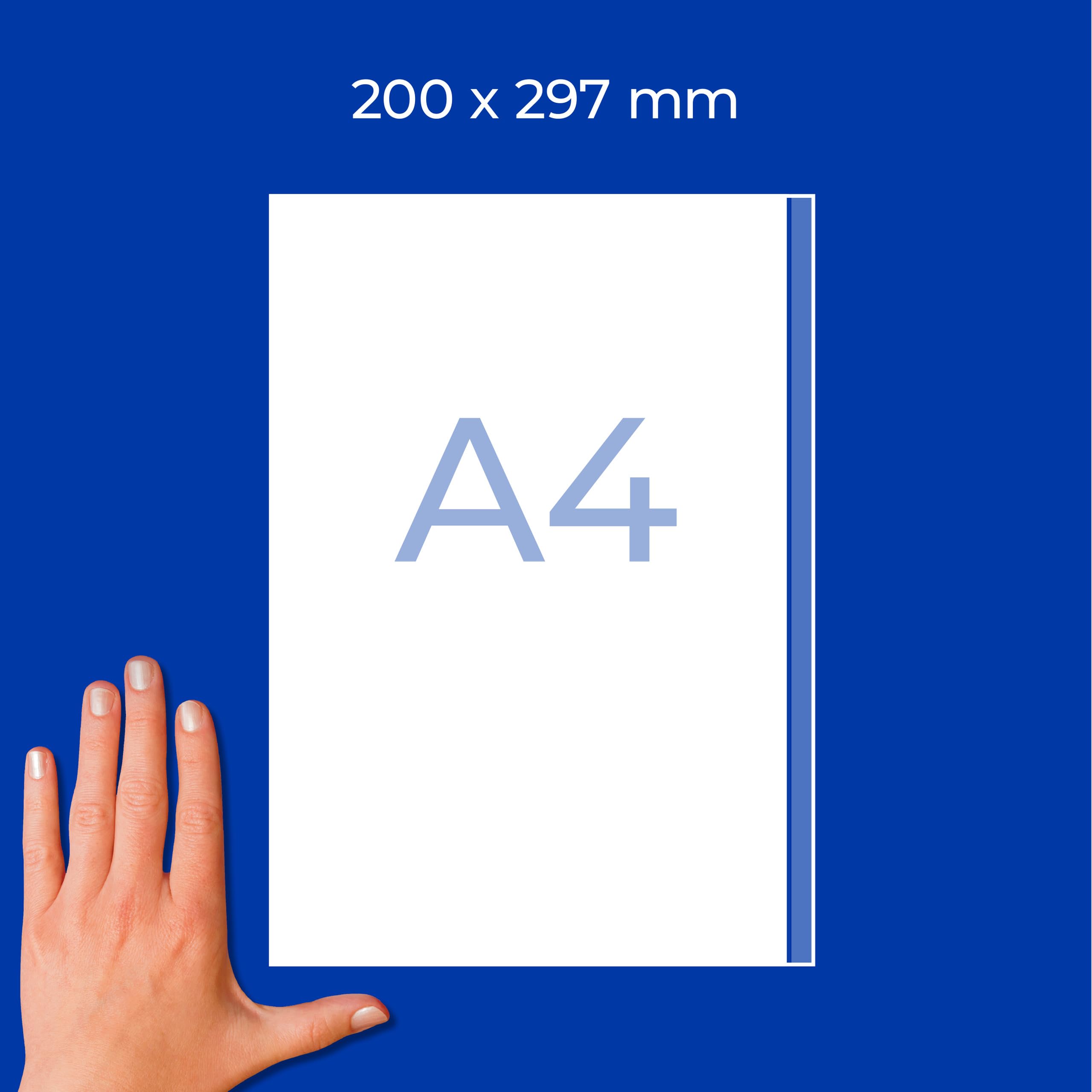 AVERY Zweckform 3418 Universal Etiketten (100 Klebeetiketten, 200x297mm auf A4, Papier matt, bedruckbare Versandetiketten, selbstklebende Versandaufkleber mit ultragrip, DHL) 100 Blatt, weiß