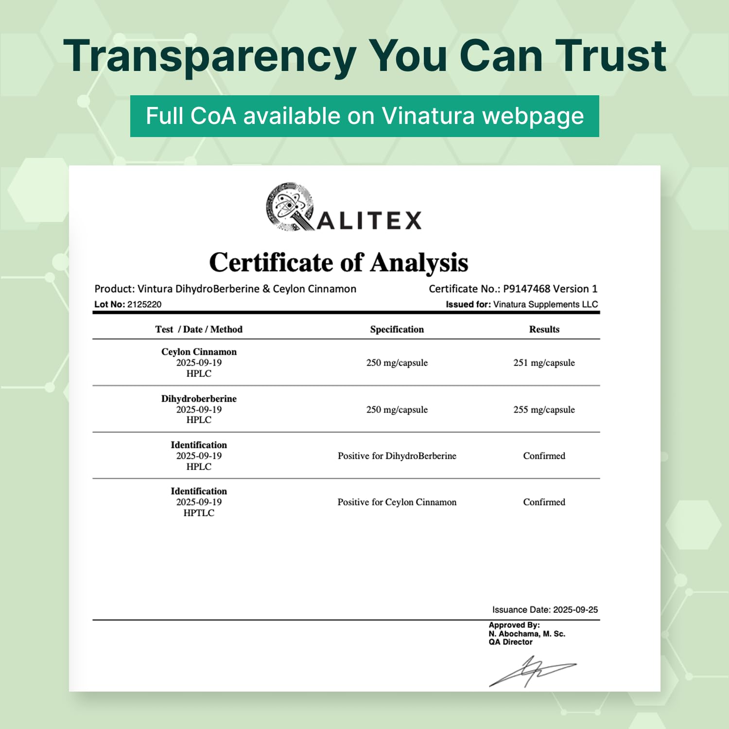 VINATURA Dihydroberberine Supplement with Ceylon Cinnamon, 500mg - (Patented GlucoVantage Super Berberine), Maybe Berberine 5X More absorbable - 30 Capsules