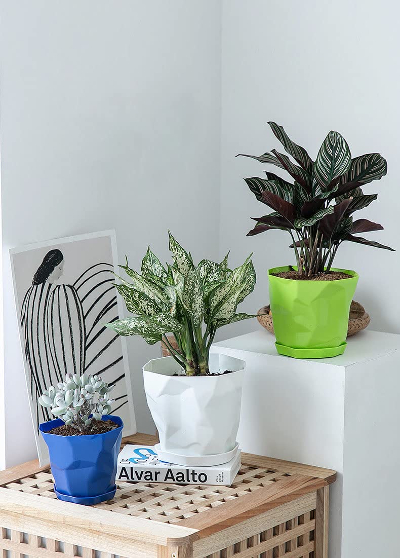 Lot de 5 pots de fleurs en plastique pour intérieur/extérieur - Style nordique - Avec support de base - Pour la maison, le bureau, les magasins - Blanc