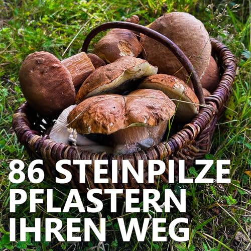 #86 Steinpilze pflastern ihren Weg cover art
