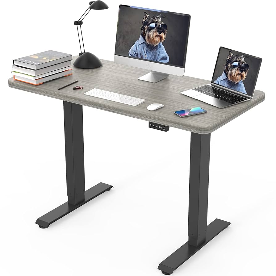 Amazon.com: JOY worker Electric Height Adjustable Standing