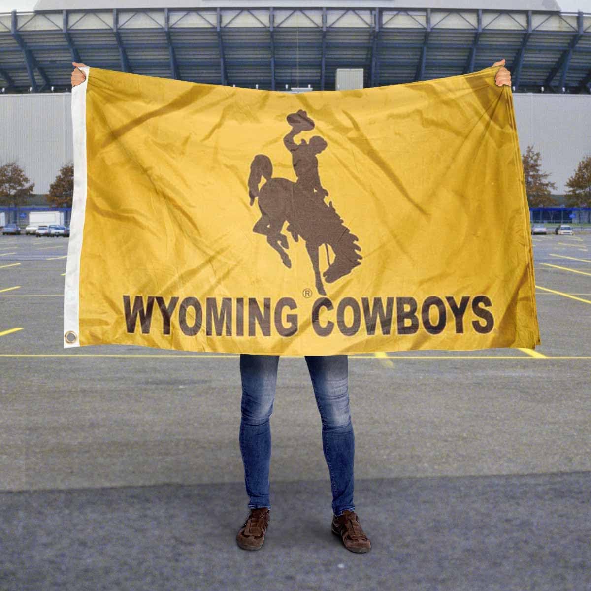 College Flags & Banners Co. Wyoming Wordmark 3x5 Grommet Flag