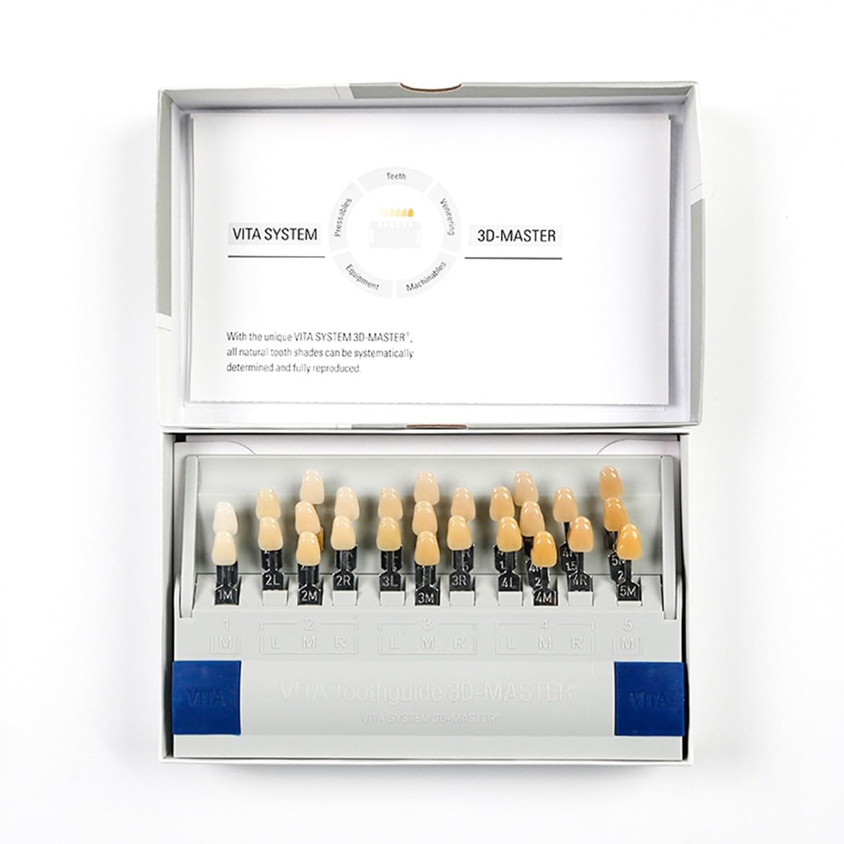 29 Colori Sbiancamento Dei Denti Scala Colori Tabella Colori Sbiancamento | Denti Professionale 3D