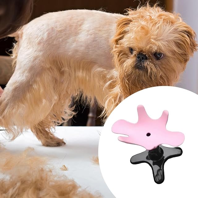 Foto 4 de 5 de Rtxbvg Base de Mesa Fija para Peluquería, Ajustable, Extraíble, Fijación de Baño para Mascotas de Metal
