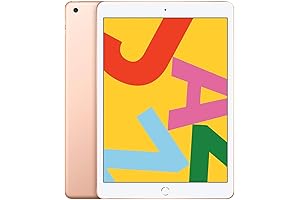 2019 Apple iPad - Renewed, 10.2-inch, Wi-Fi, 128GB - Best value for any budget