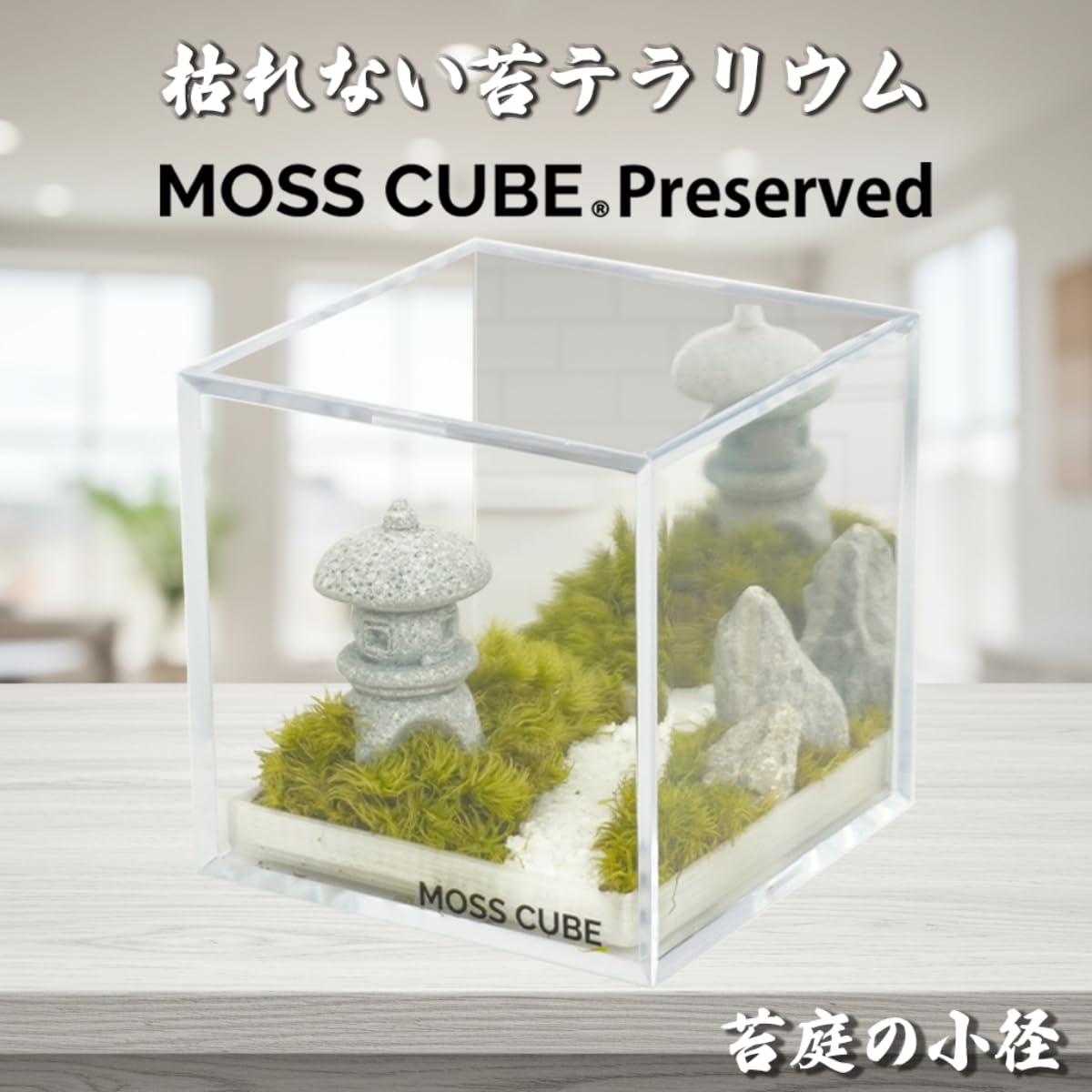 苔テラリウム　No.５２３ Amazon.co.jp: 枯れない苔テラリウム [MOSS CUBE Preserved 苔庭の小径