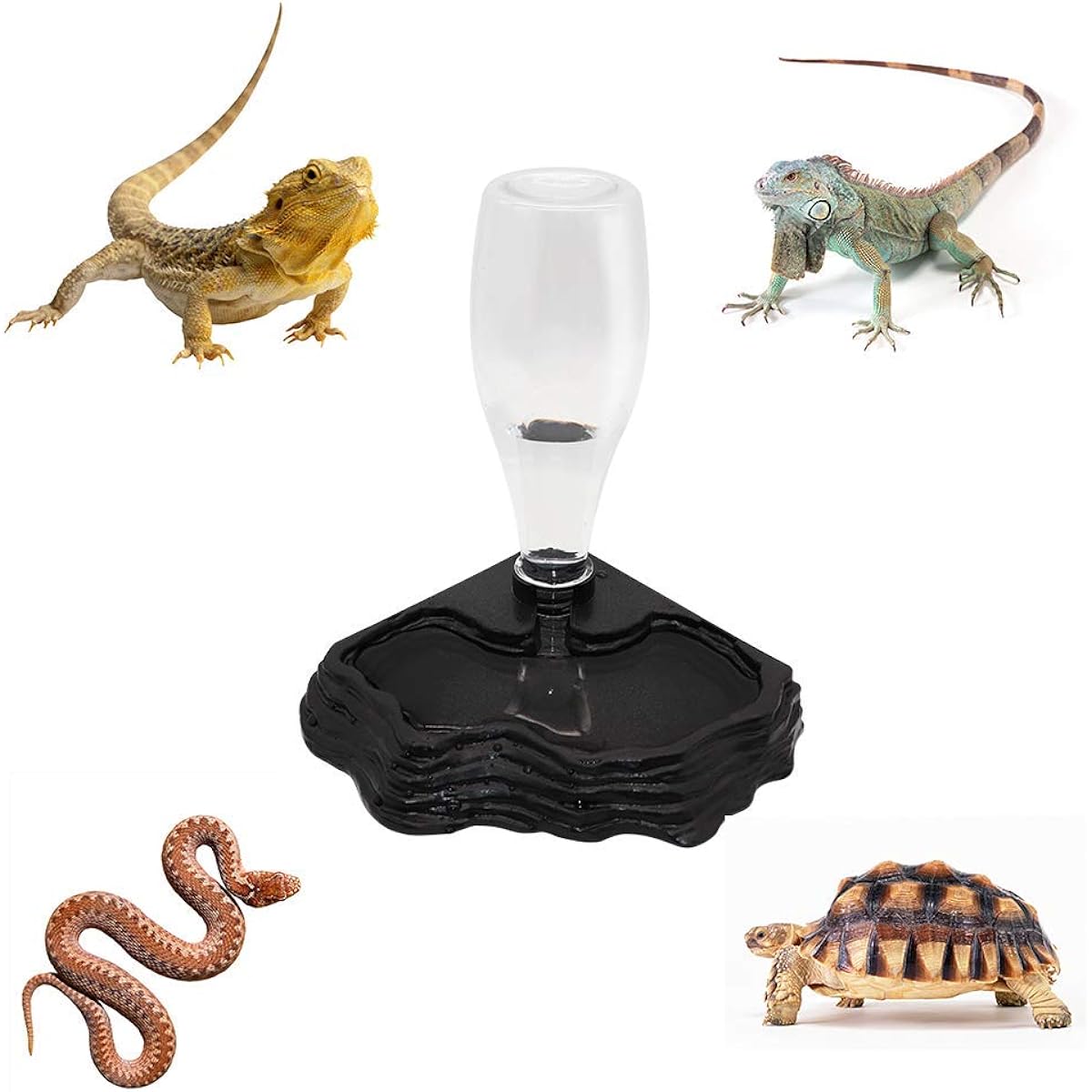 reptile feeding accessories