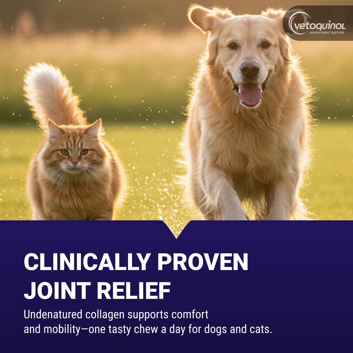 Vetoquinol Flexadin Advanced Dog Cat Joint Supplement Undenatured Collagen 60