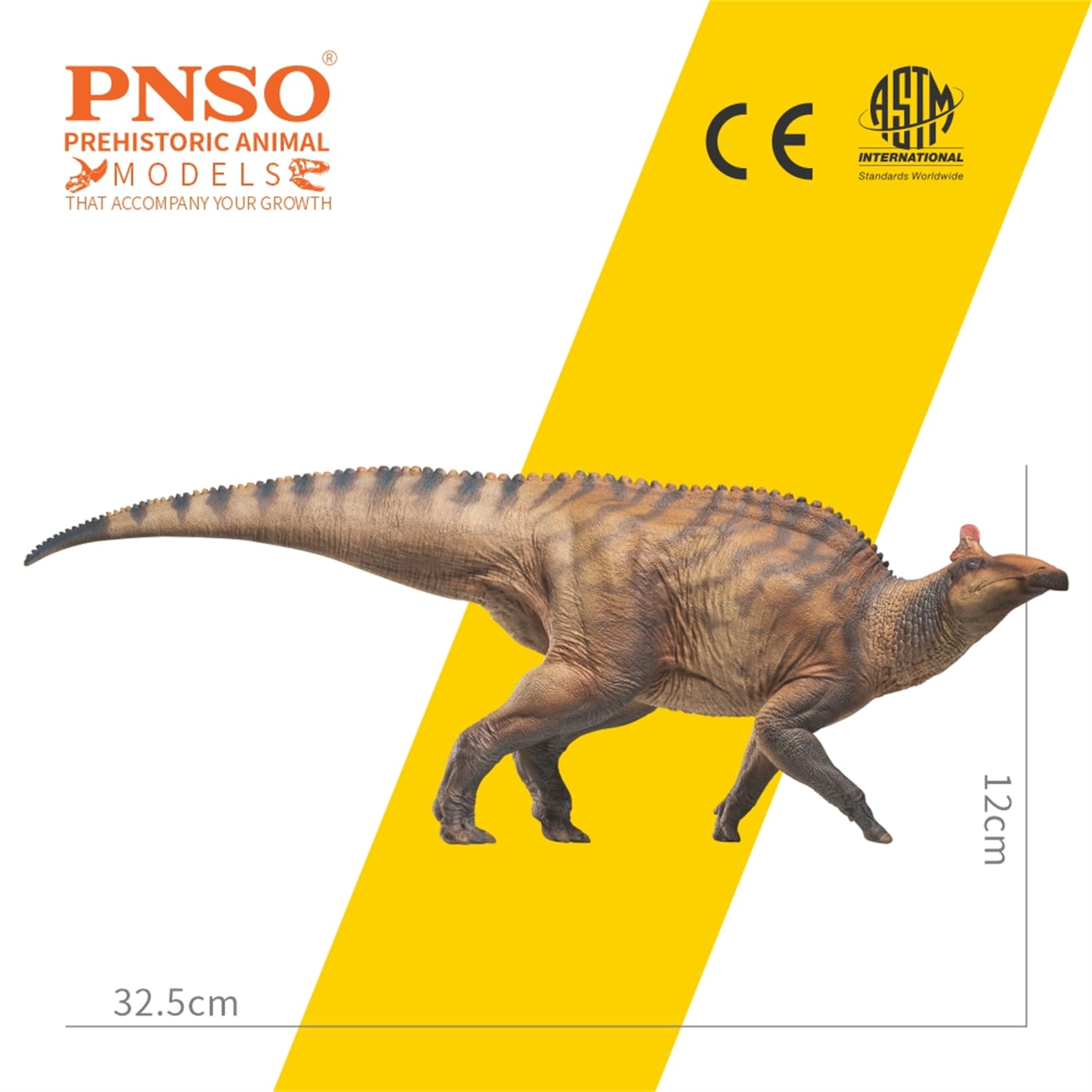 Amazon | BACALYSO | PNSO 成長シリーズ 80 エドモントサウルス