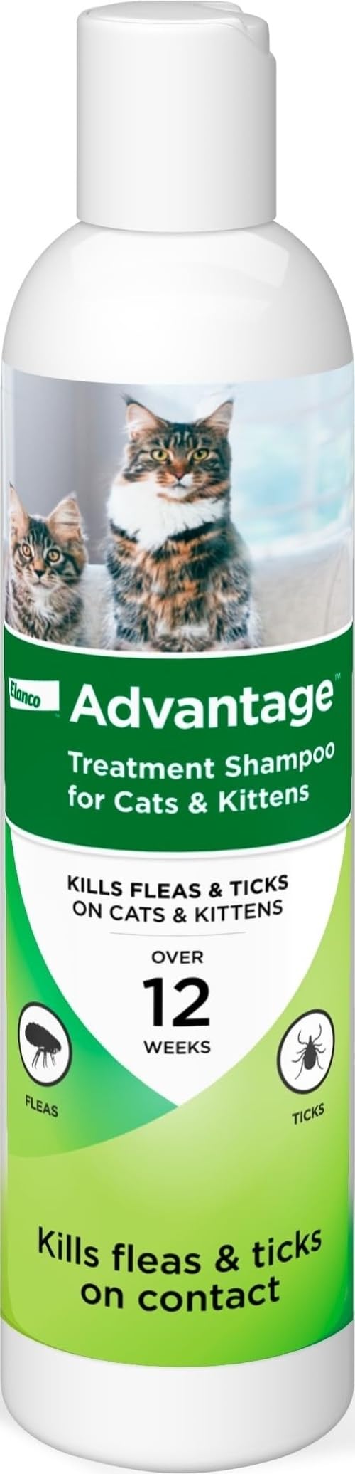 Does Flea Shampoo Kill Adult Fleas On Cats?