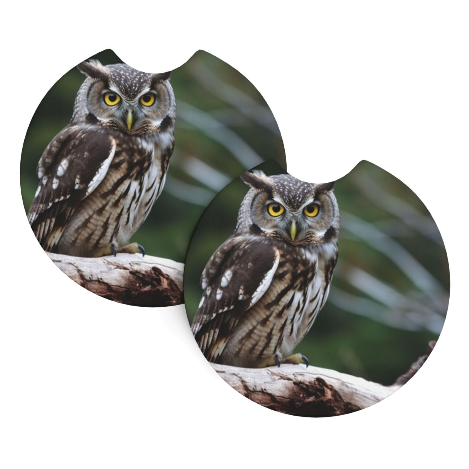 2PCS Car Coaster for Cup Holders Universal Auto Cup Mat Wild Owl Birds Cup Coaster Pad 2.7" Waterproof Neoprene Non-Slip Cup Holder Coasters Car Interior Accessories for Women Men