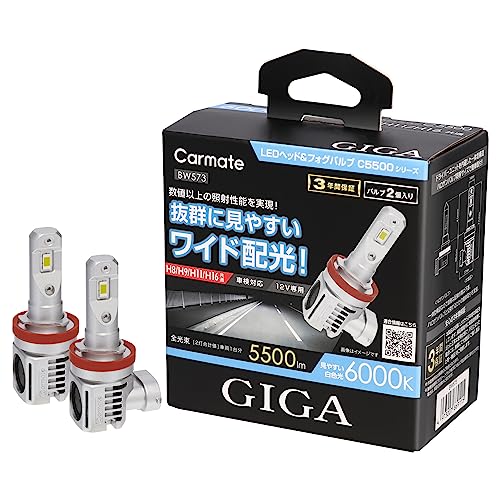 車 カーメイト LEDヘッド&フォグバルブ BW572