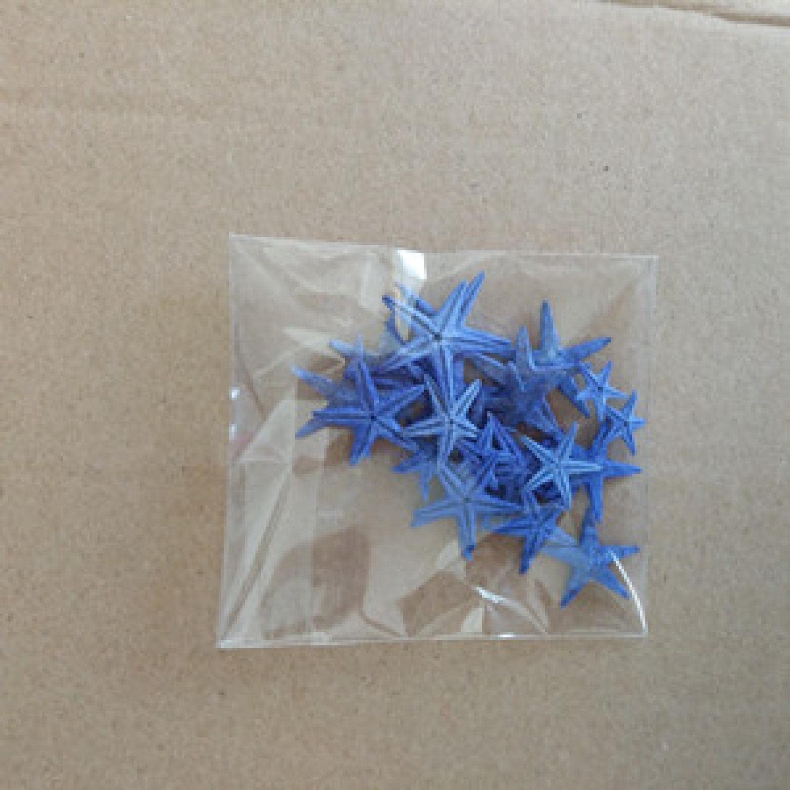 Coquillages de mer pour scrapbooking et création de mini paysage bleu